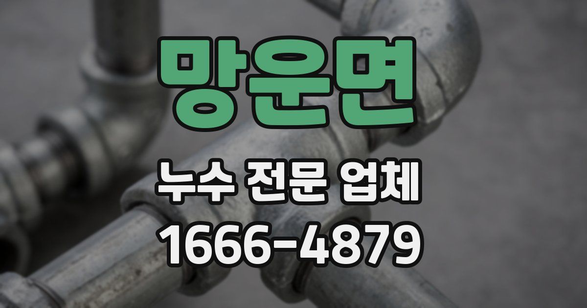 망운면 누수 전문 업체
