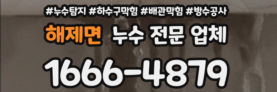 해제면 누수 전문 업체