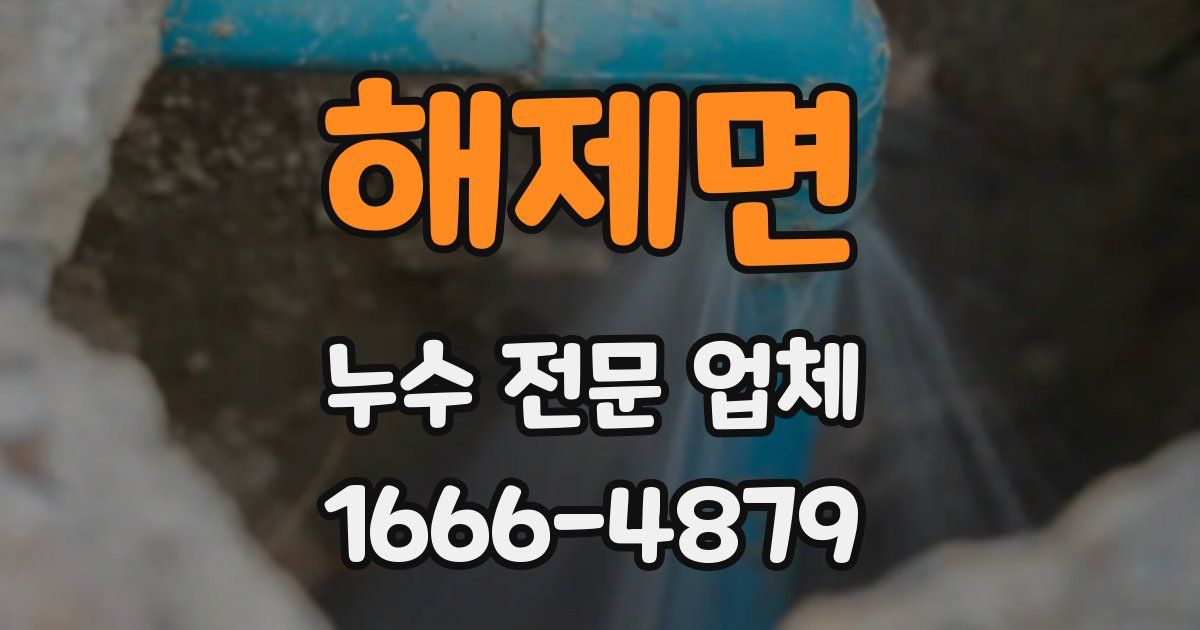 해제면 누수 전문 업체