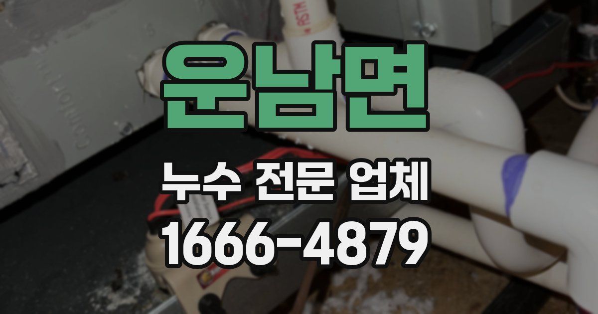 운남면 누수 전문 업체