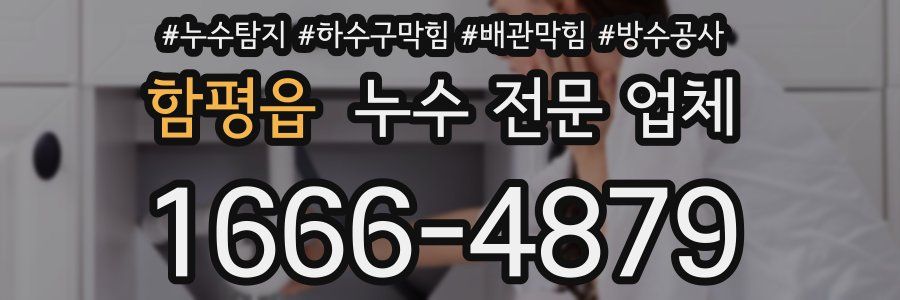 함평읍 누수 전문 업체