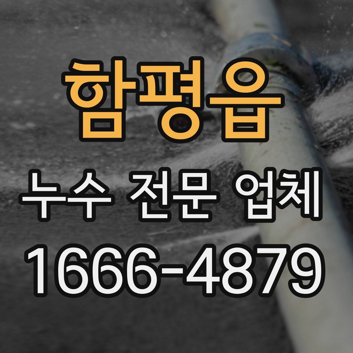 함평읍 누수 전문 업체
