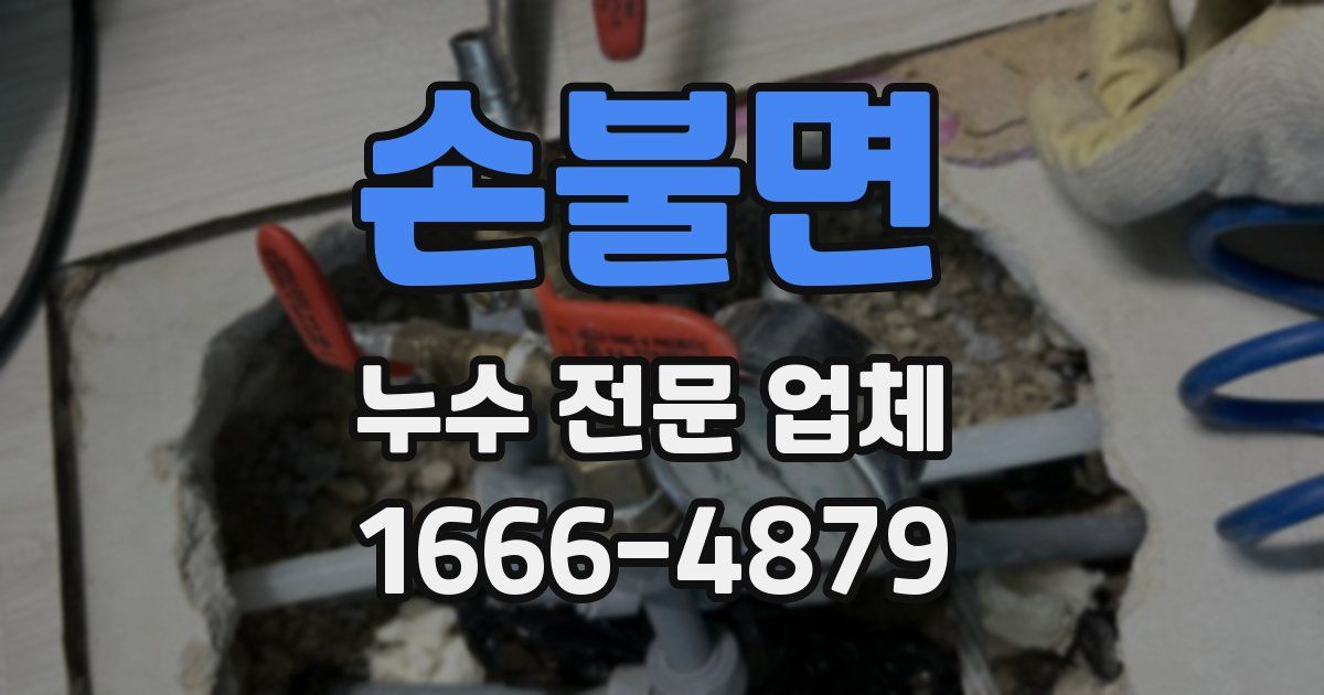 손불면 누수 전문 업체