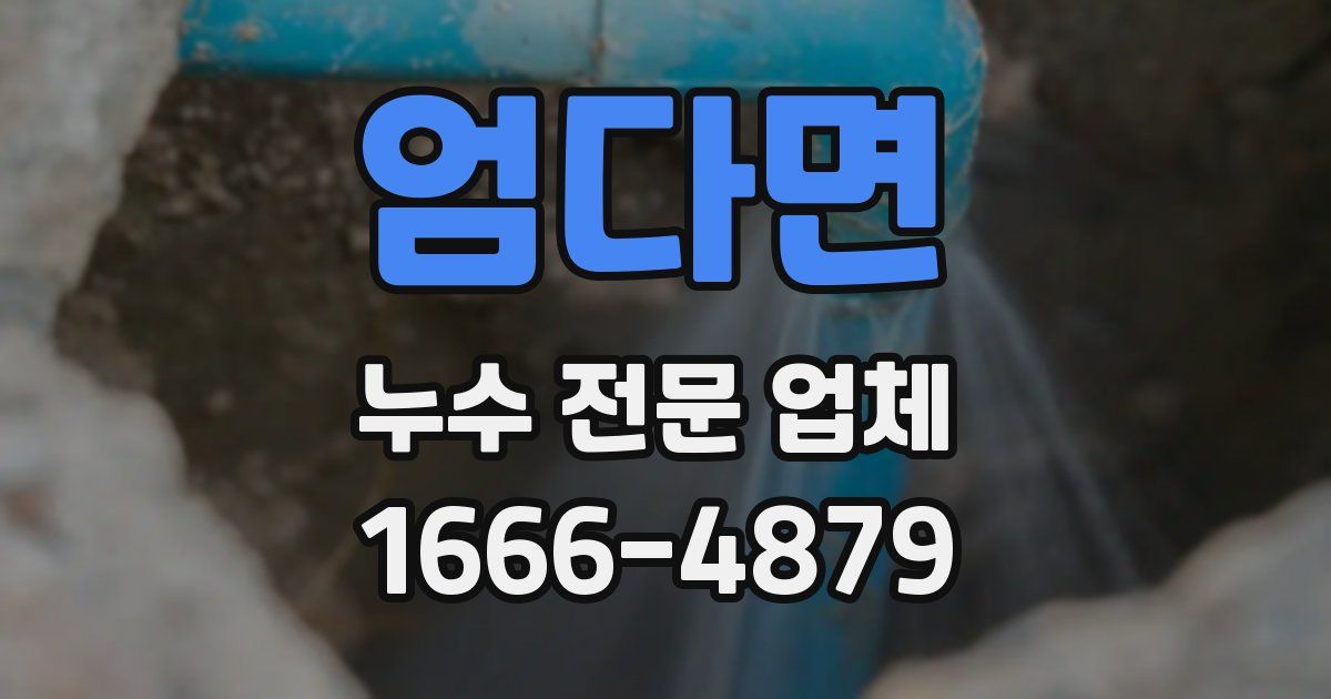 엄다면 누수 전문 업체