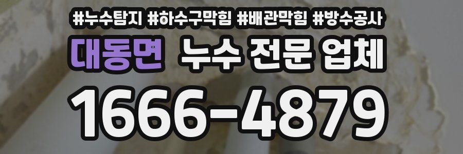 대동면 누수 전문 업체