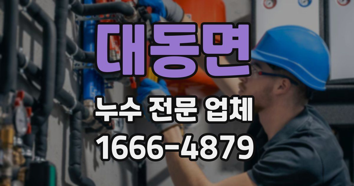 대동면 누수 전문 업체