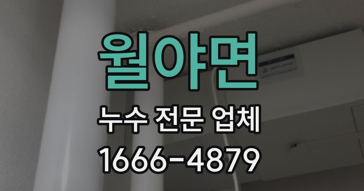 월야면 누수 전문 업체
