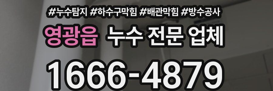 영광읍 누수 전문 업체