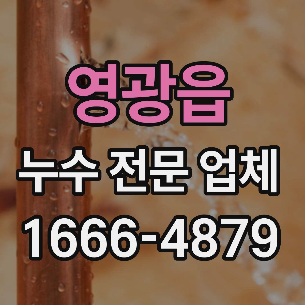 영광읍 누수 전문 업체