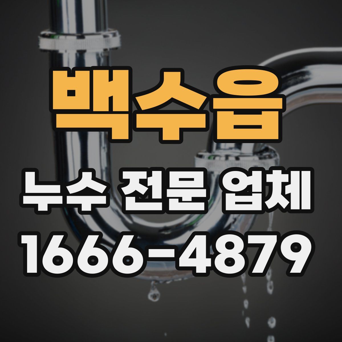 백수읍 누수 전문 업체