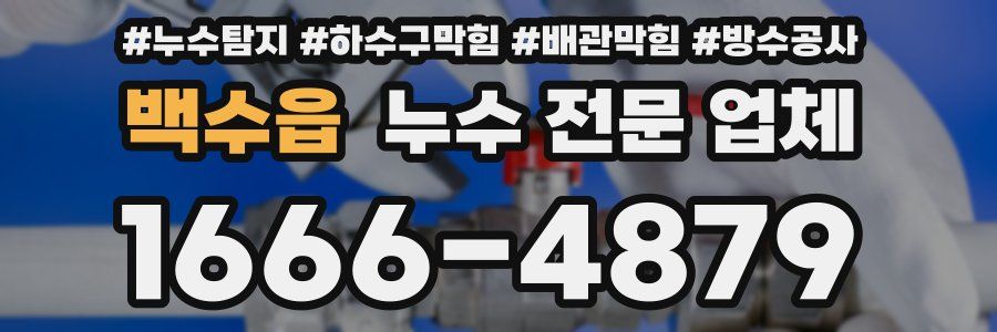 백수읍 누수 전문 업체