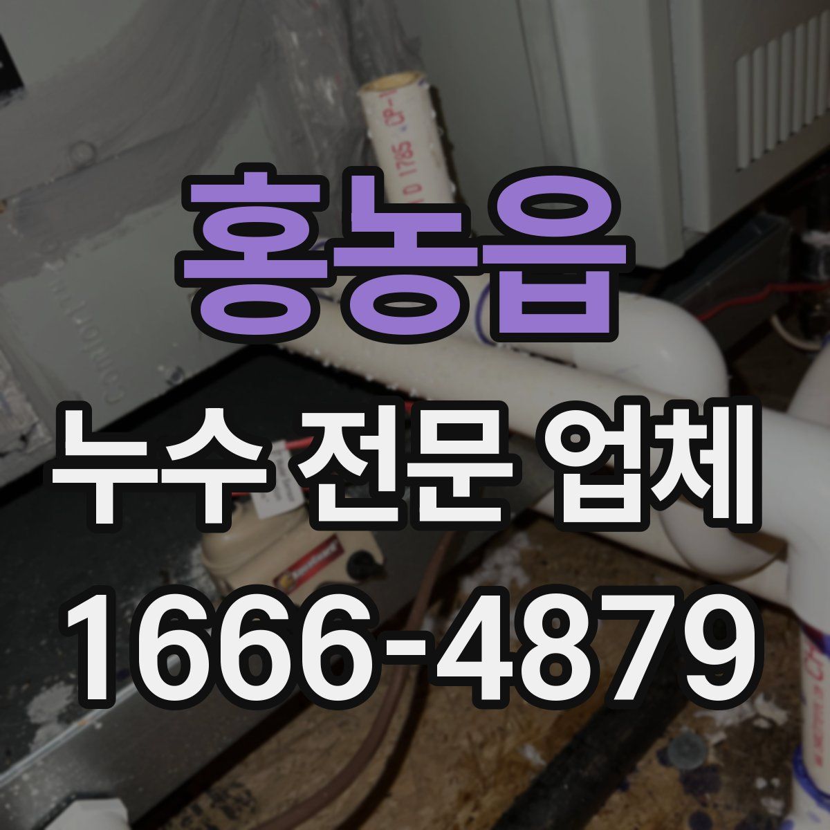 홍농읍 누수 전문 업체
