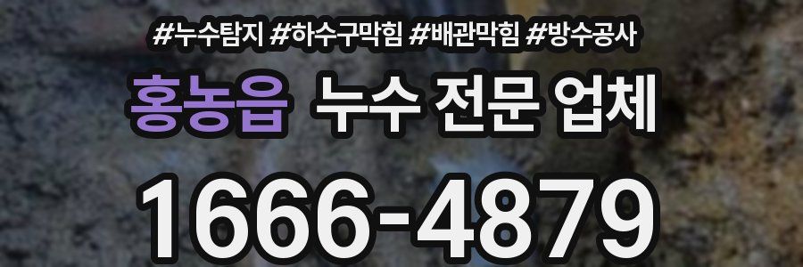 홍농읍 누수 전문 업체