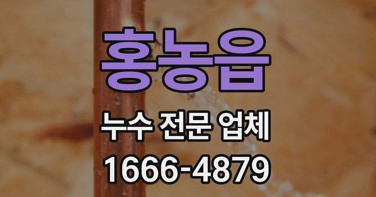 홍농읍 누수 전문 업체