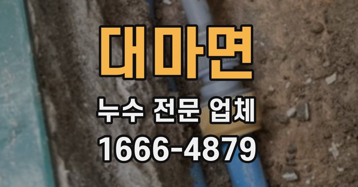 대마면 누수 전문 업체