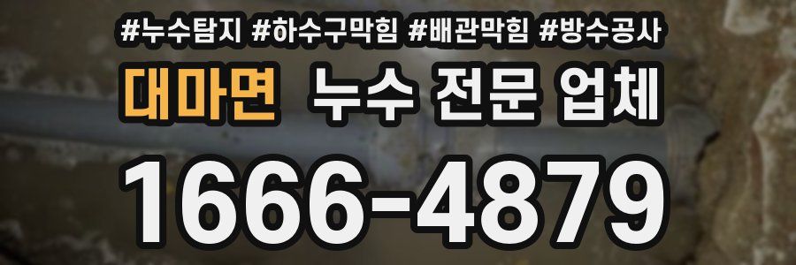 대마면 누수 전문 업체