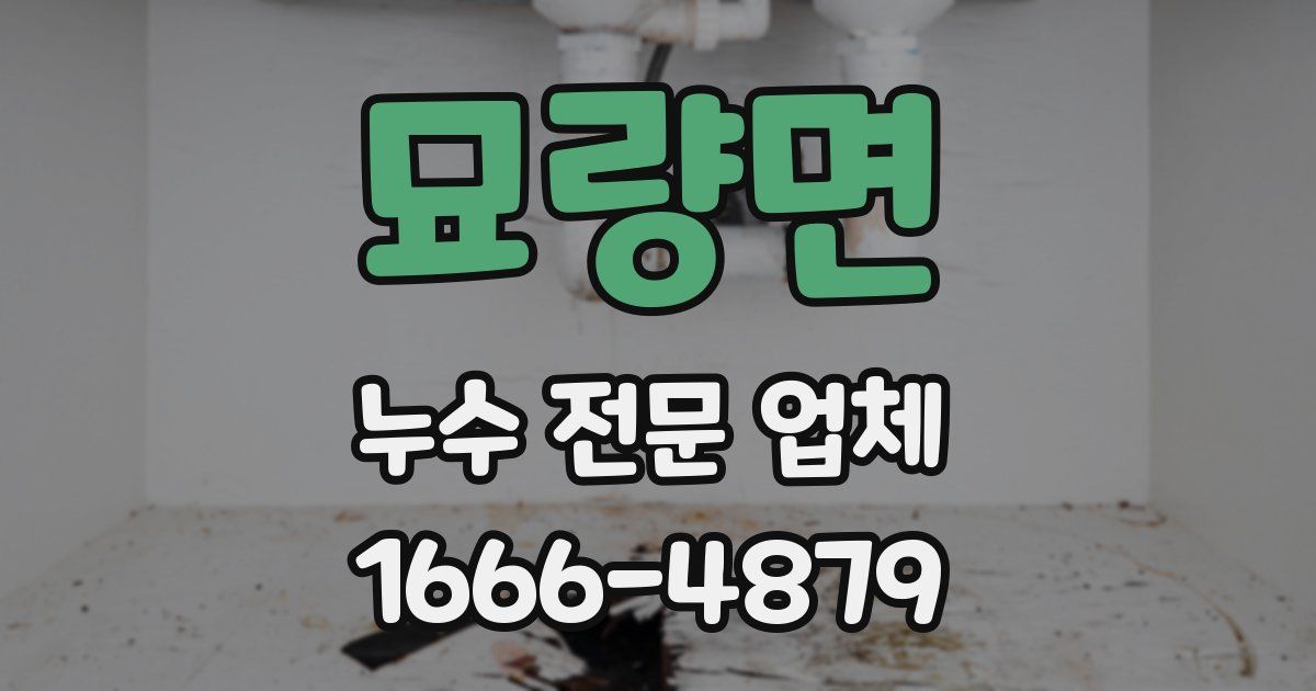 묘량면 누수 전문 업체