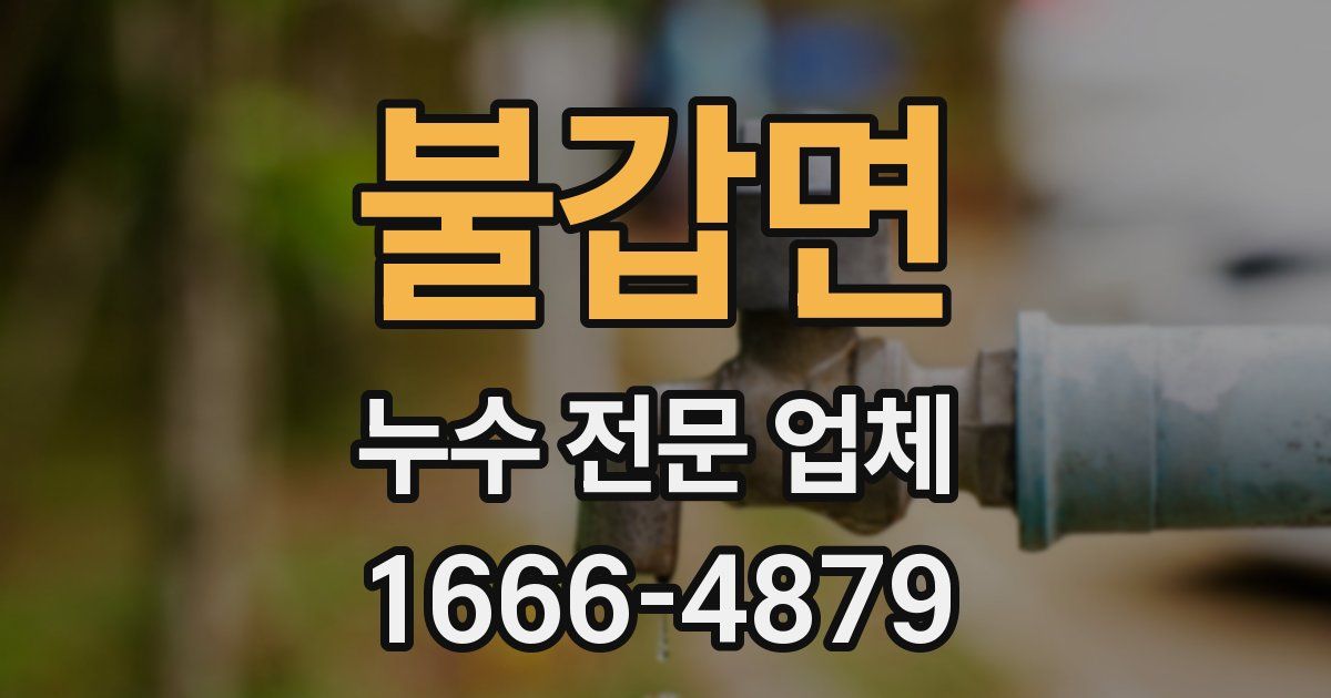 불갑면 누수 전문 업체