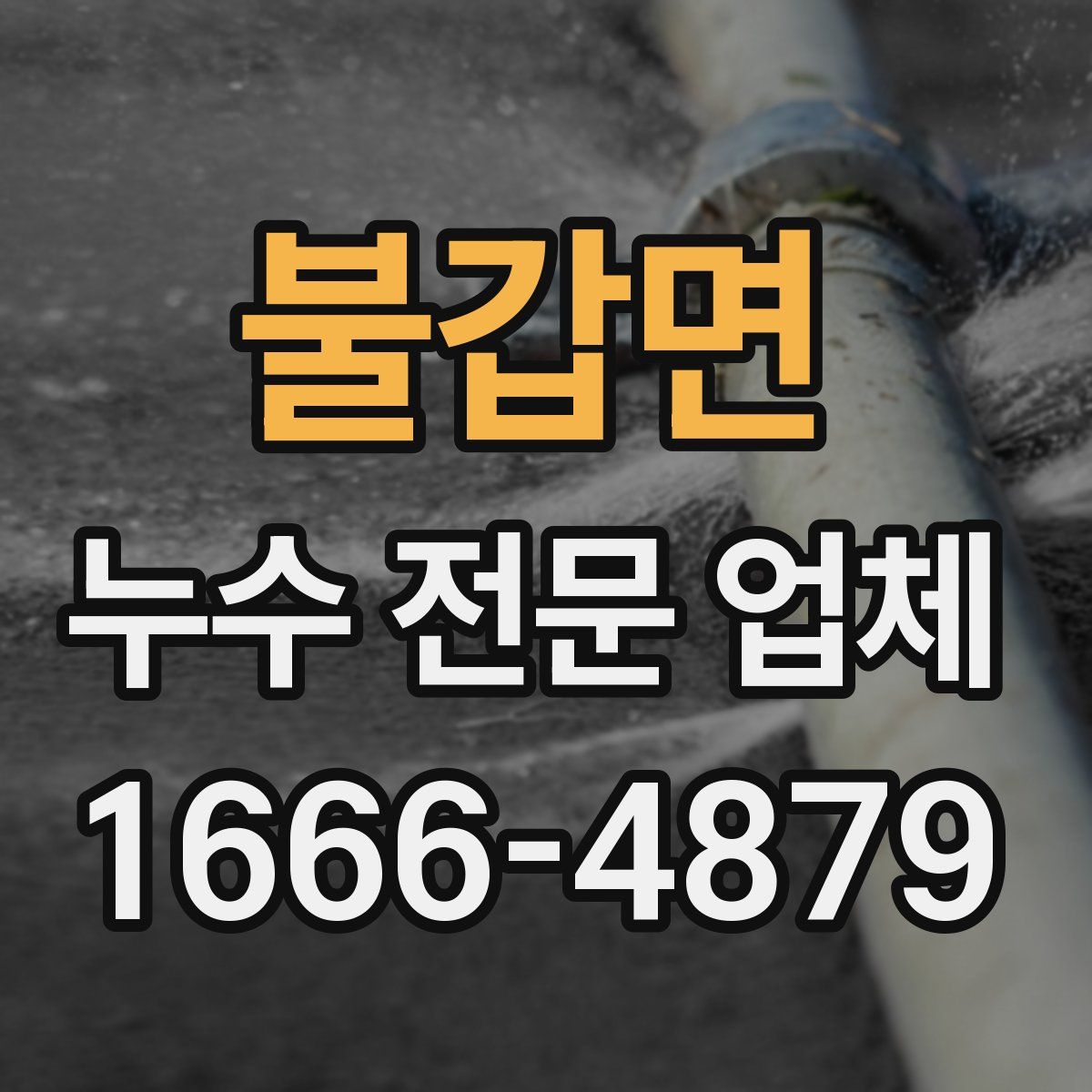 불갑면 누수 전문 업체