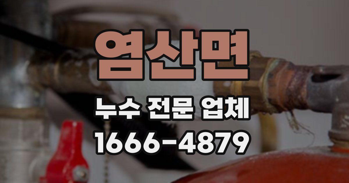 염산면 누수 전문 업체