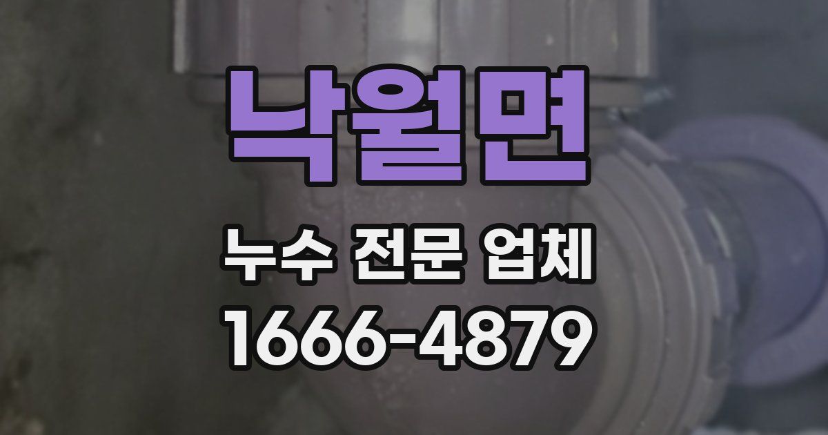 낙월면 누수 전문 업체