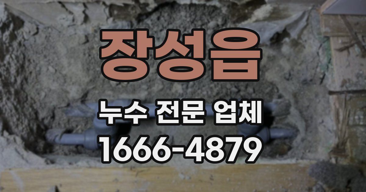 장성읍 누수 전문 업체