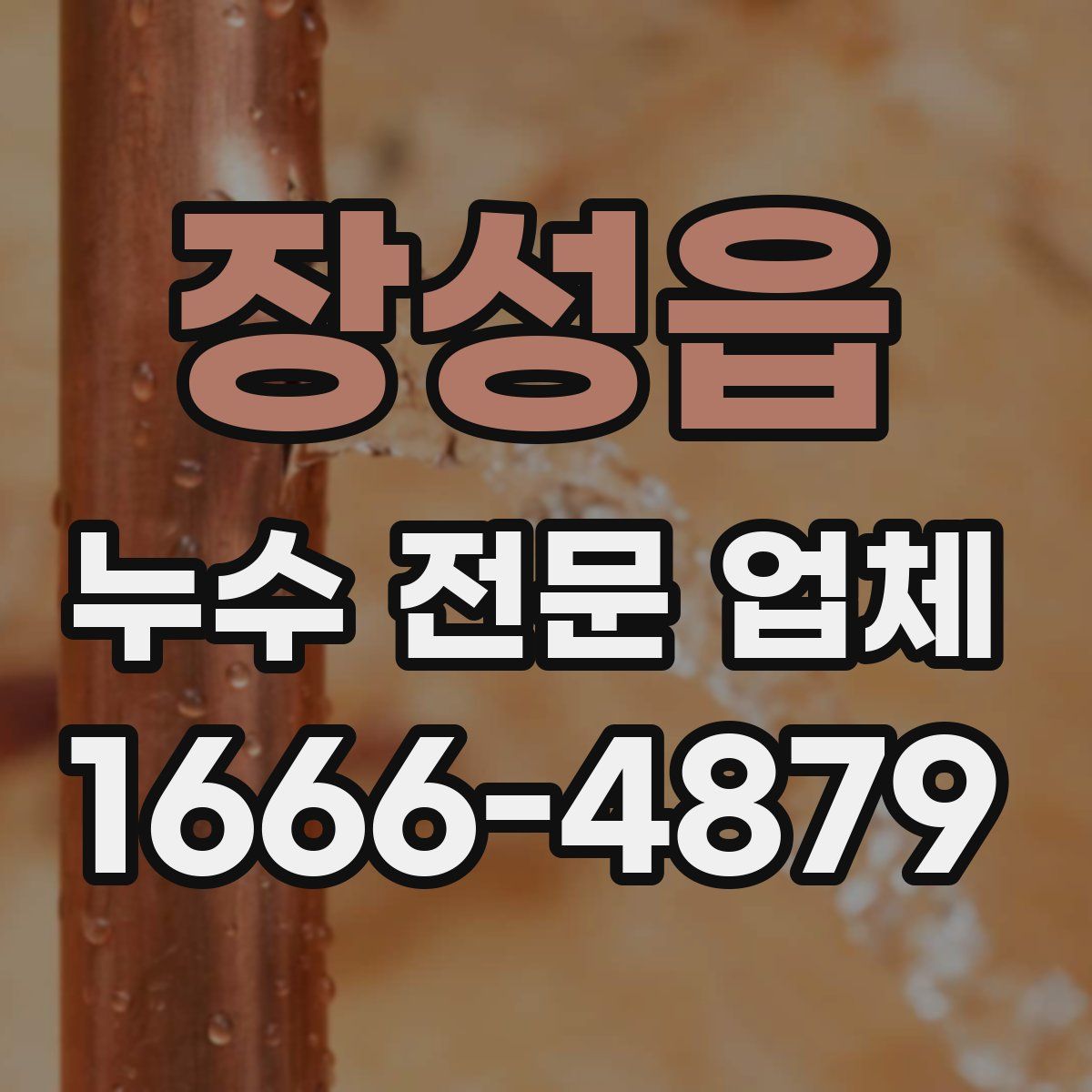 장성읍 누수 전문 업체