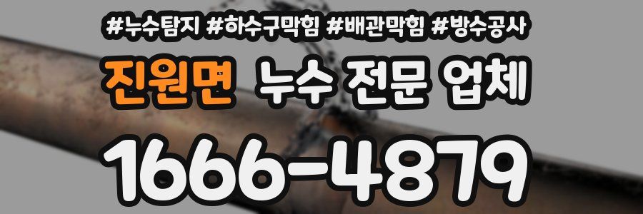 진원면 누수 전문 업체