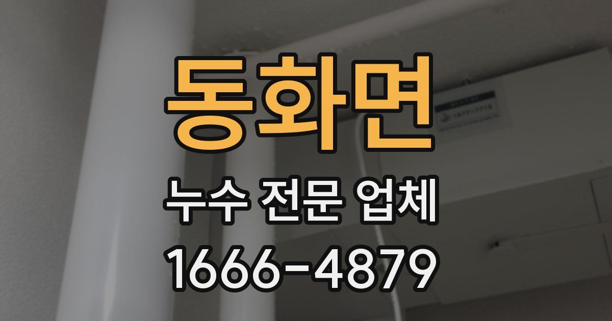 동화면 누수 전문 업체