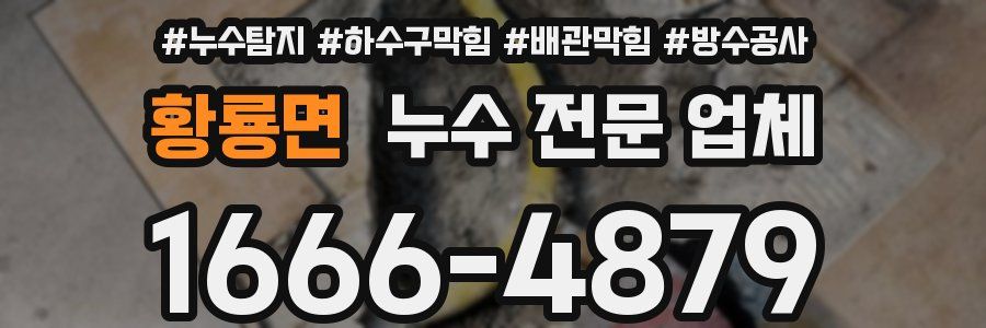 황룡면 누수 전문 업체