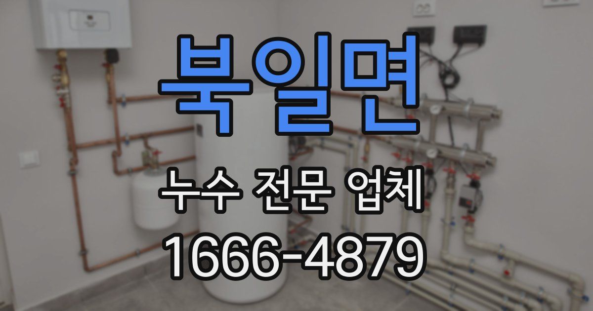 북일면 누수 전문 업체