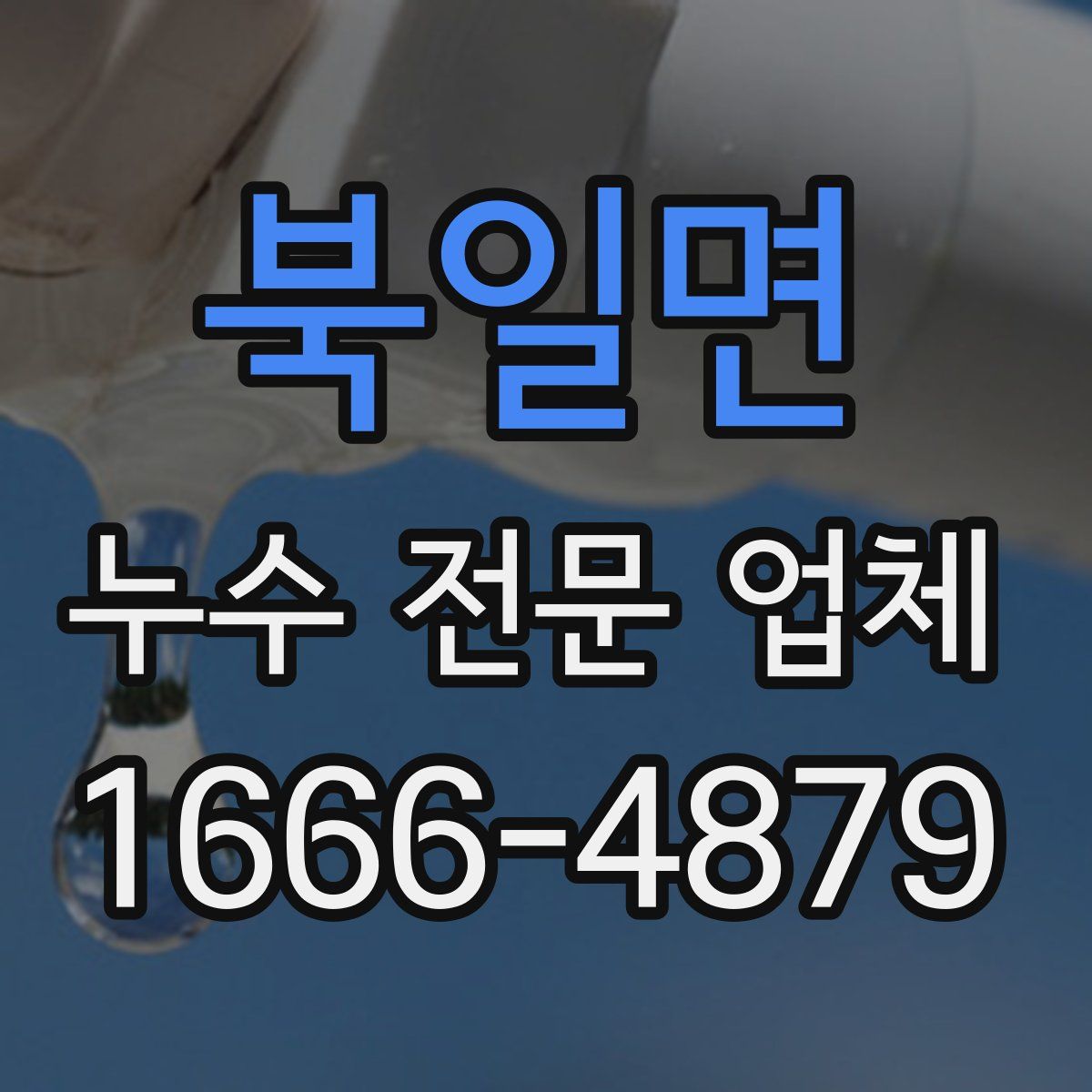 북일면 누수 전문 업체