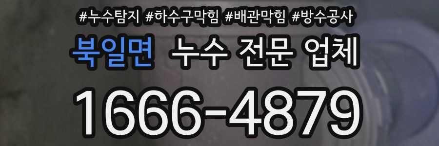 북일면 누수 전문 업체