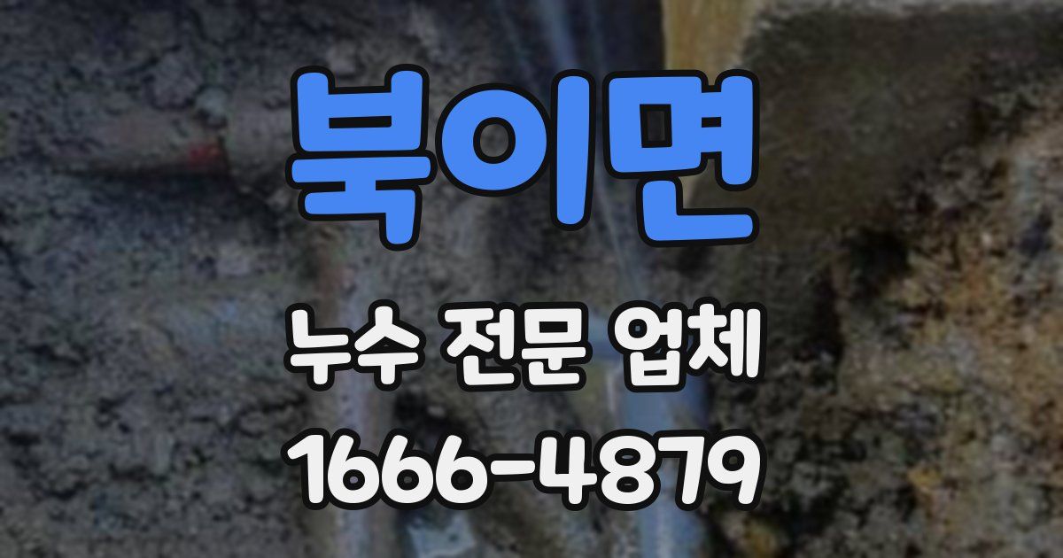 북이면 누수 전문 업체