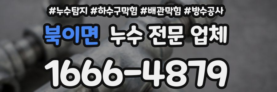 북이면 누수 전문 업체