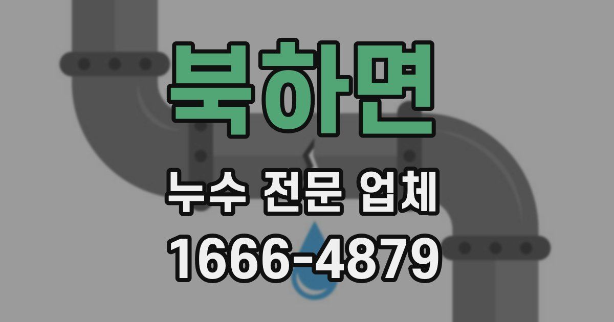 북하면 누수 전문 업체