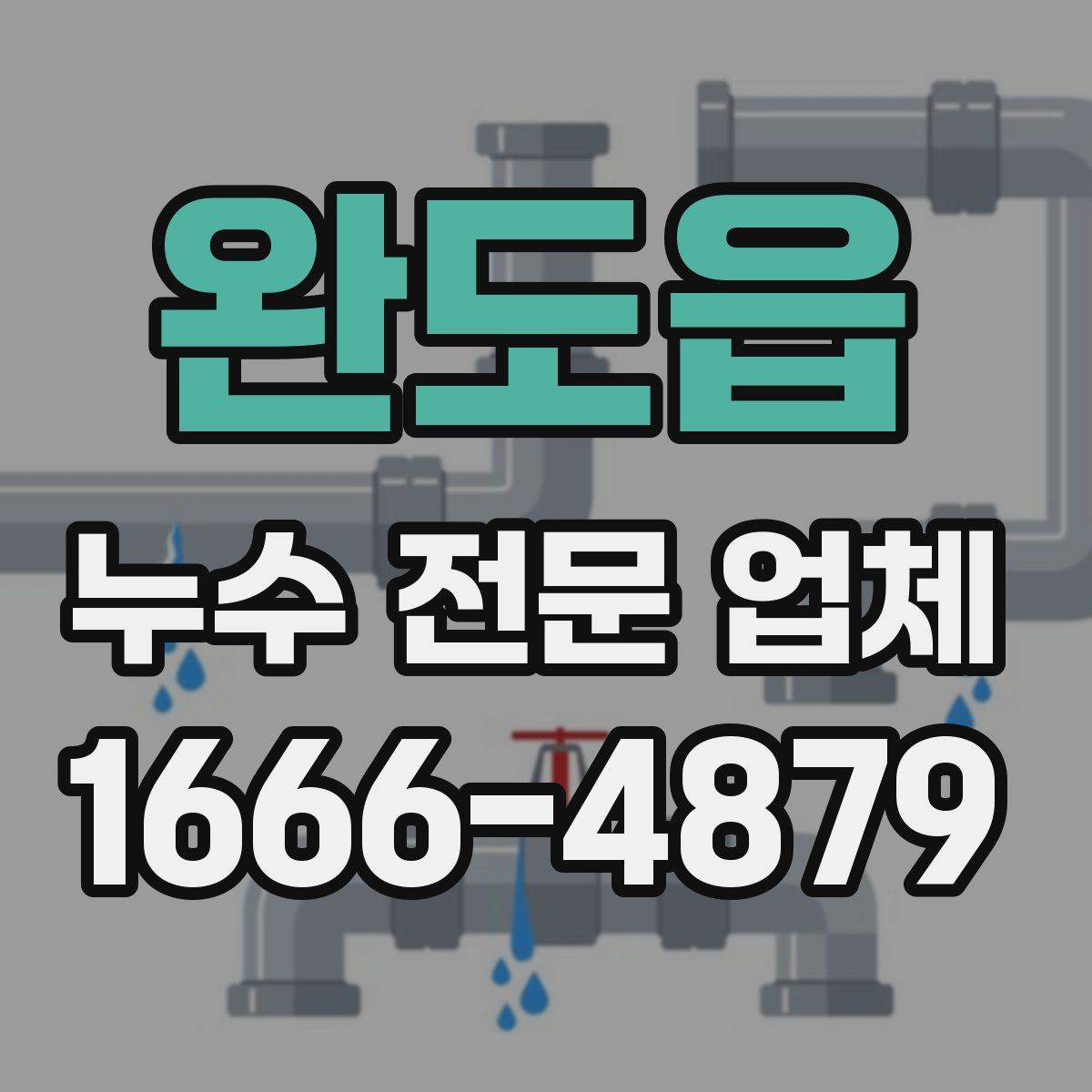 완도읍 누수 전문 업체