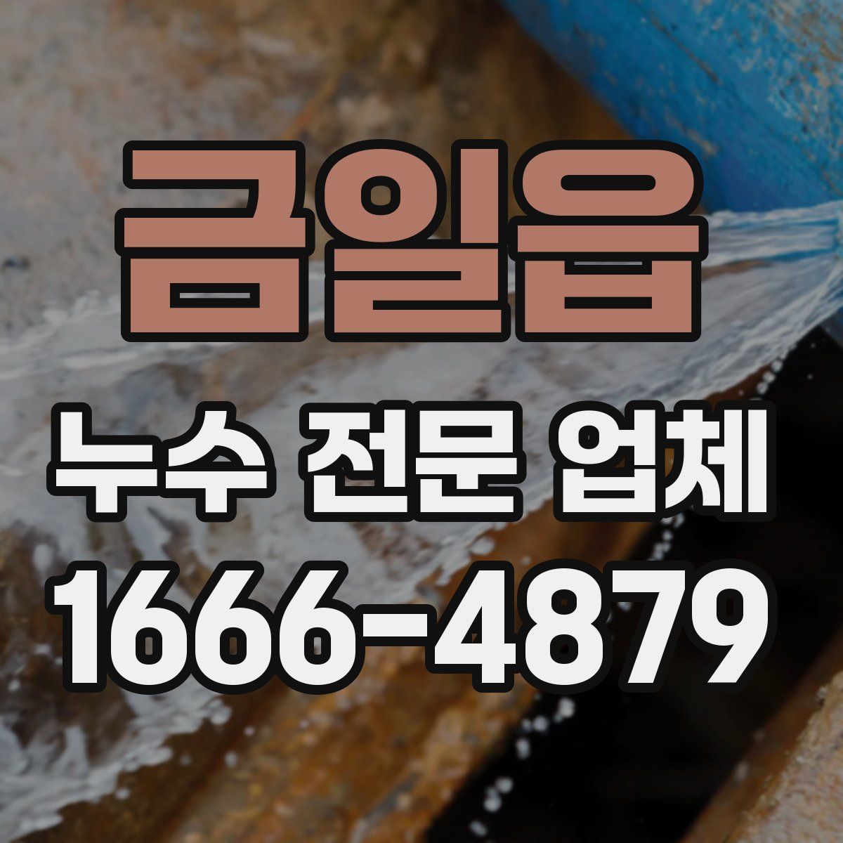 금일읍 누수 전문 업체