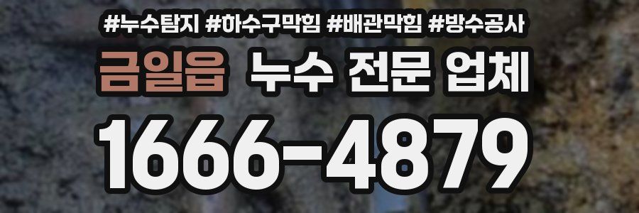 금일읍 누수 전문 업체
