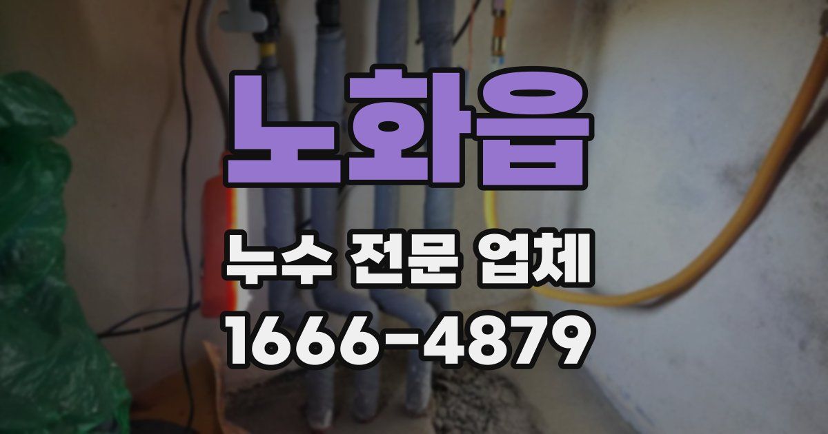 노화읍 누수 전문 업체