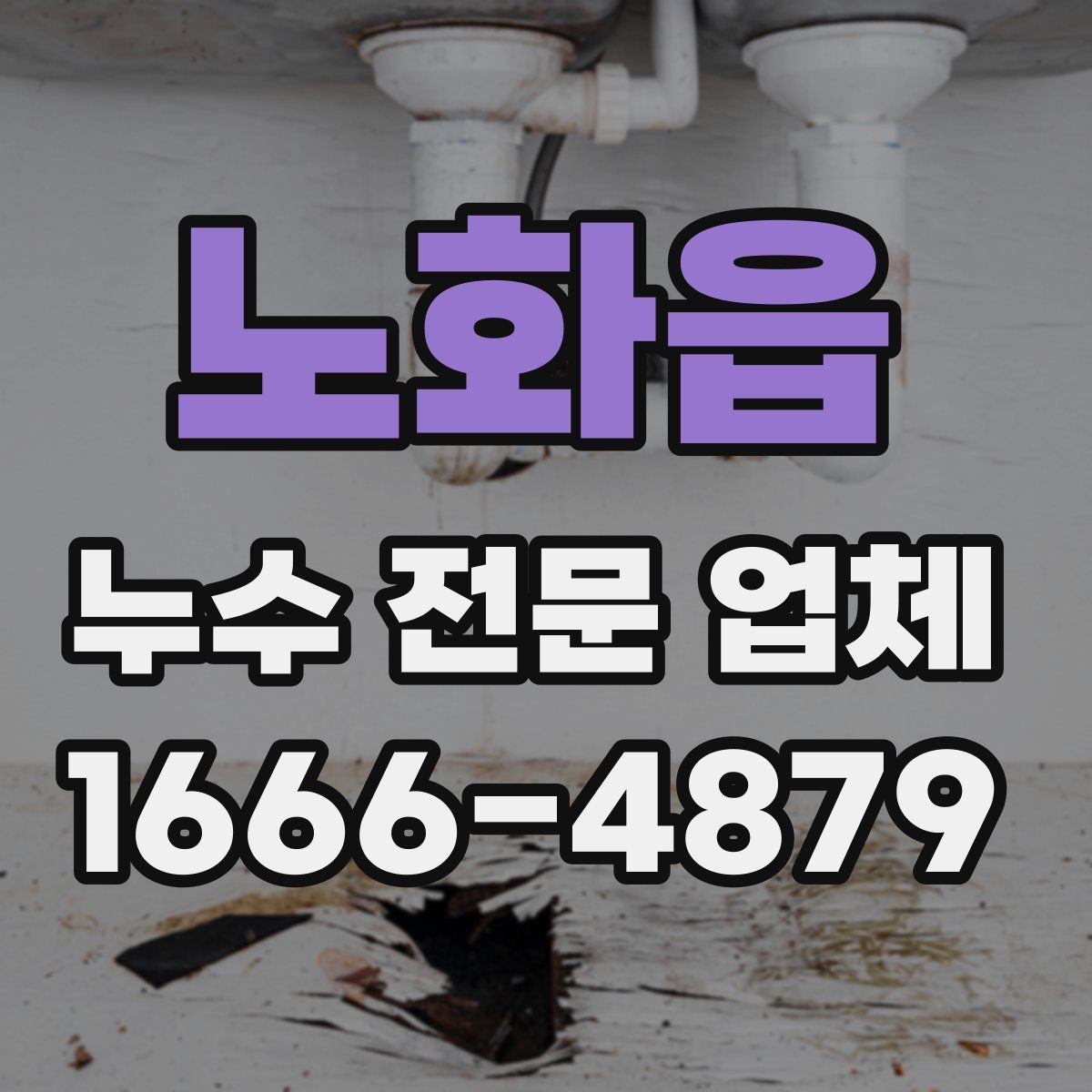 노화읍 누수 전문 업체
