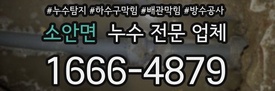 소안면 누수 전문 업체