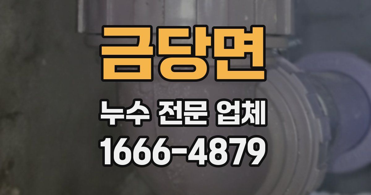 금당면 누수 전문 업체