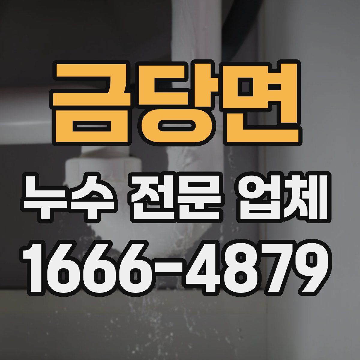 금당면 누수 전문 업체