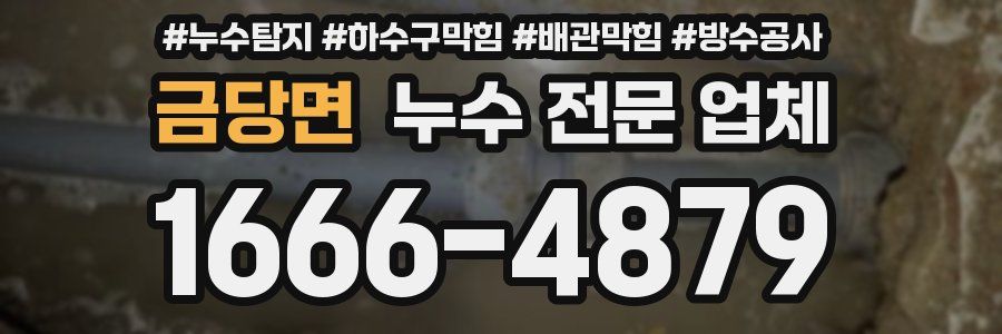 금당면 누수 전문 업체