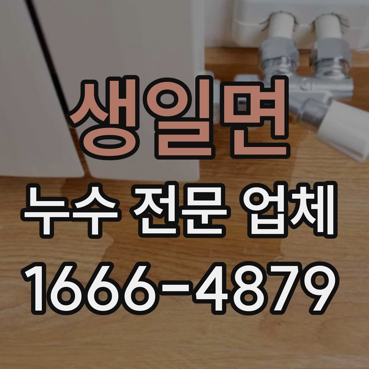 생일면 누수 전문 업체