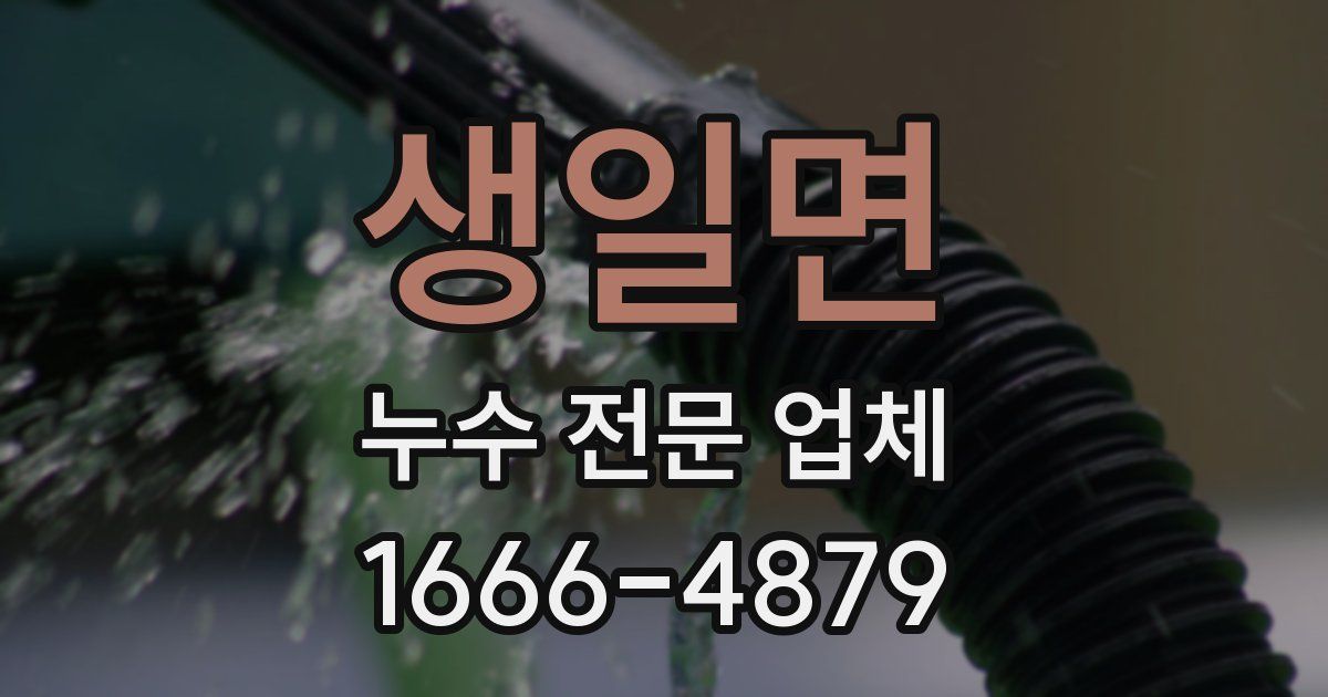 생일면 누수 전문 업체