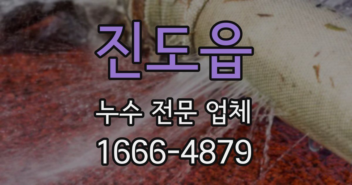 진도읍 누수 전문 업체