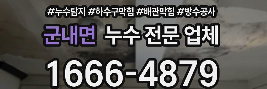 군내면 누수 전문 업체
