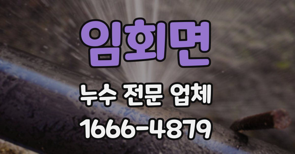 임회면 누수 전문 업체